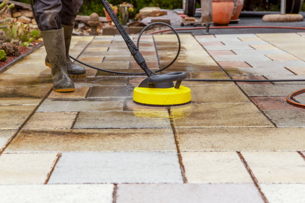 Animal Enclosure Cleaning in Dardenne Prairie, MO
